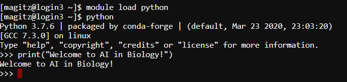 Screenshot of running Python in a shell on HiPerGator